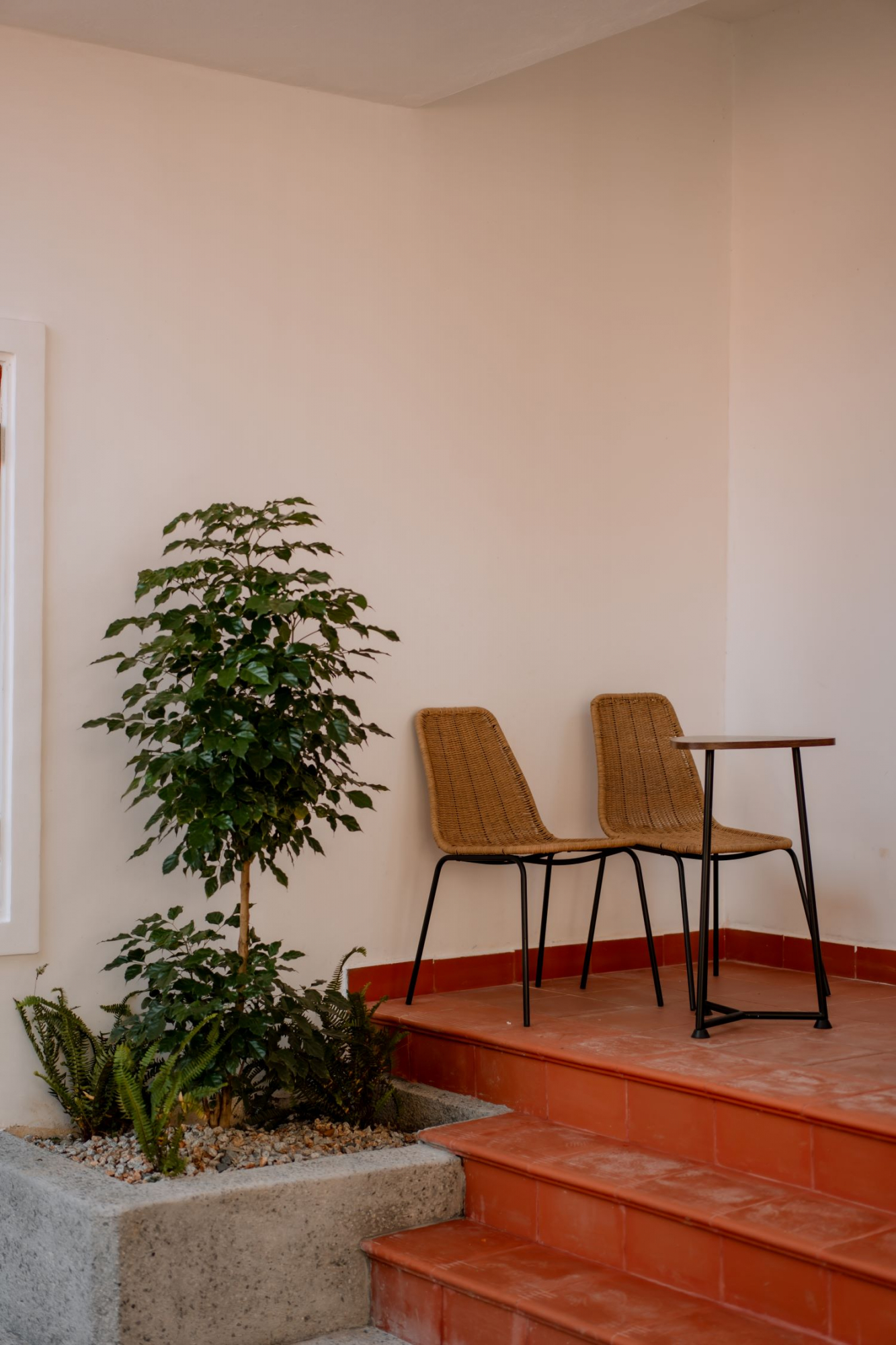 Superior Twin/Double Room